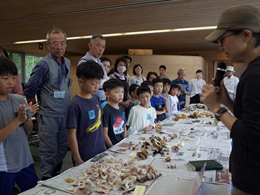 【8/1申込開始・先着順】秋のキノコ山探検【三木山森林公園】