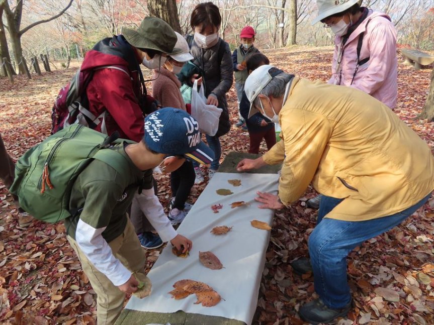 【9/1申込開始】10月森のフシギさがし【姫路市自然観察の森】