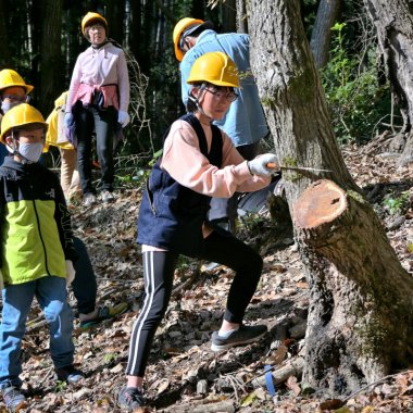 【申込要／先着順】きのこを作ろう★第1回 原木伐採【ゆめさきの森公園】