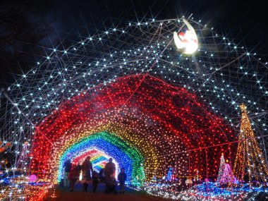 花と光のクリスマス【兵庫県立フラワーセンター】