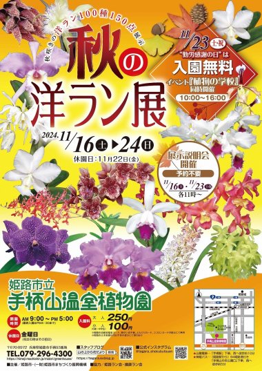 秋の洋ラン展【手柄山温室植物園】