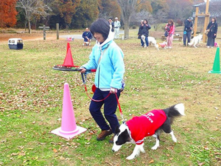 三木市 11 2申込開始 先着順 三木山まなぼうさい 学ぼう防災 祭 ペット同伴の避難訓練 兵庫県動物愛護センター クルールはりま