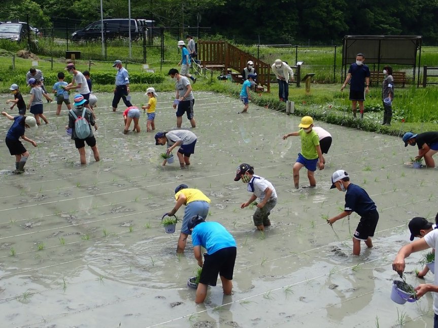 令和4年度 田んぼの学校【伊勢自然の里】