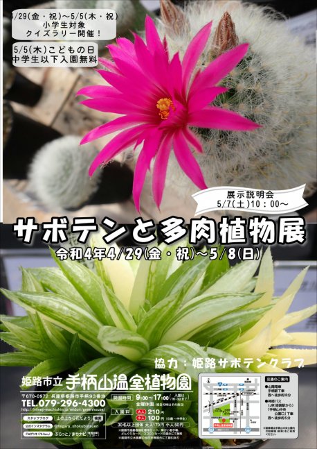 姫路市・サボテンと多肉植物展【手柄山温室植物園】｜クルールはりま