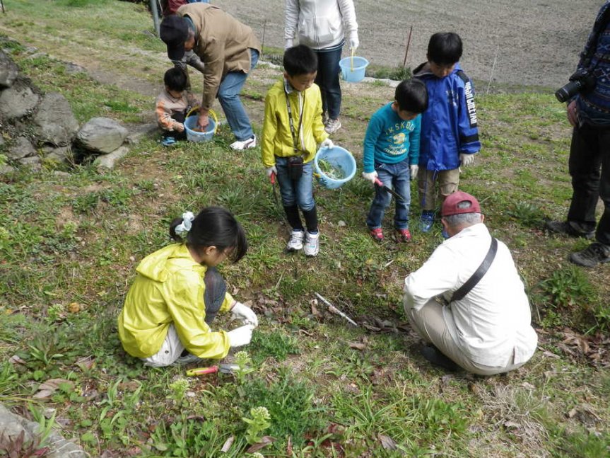 【要申込／先着順】山野草を楽しもう　挿し芽・挿し木を覚えよう【国見の森公園】