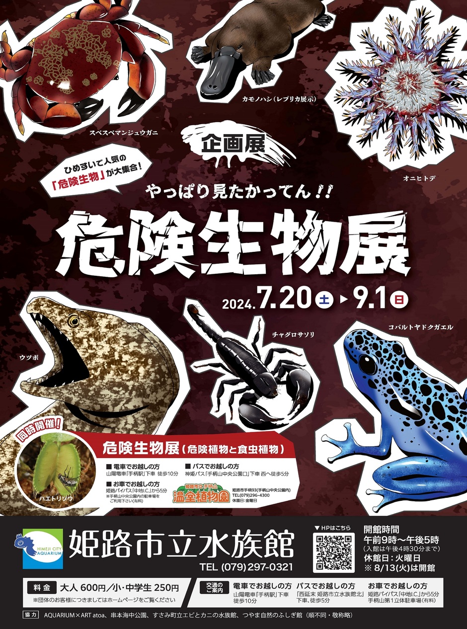 企画展「やっぱり見たかってん！！危険生物展」【姫路市立水族館】