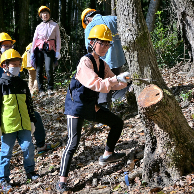 【申込要／先着順】きのこを作ろう★第1回 原木伐採【ゆめさきの森公園】