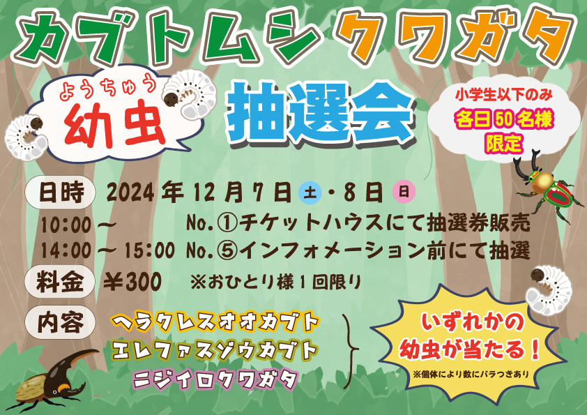 カブトムシ クワガタ〈幼虫〉抽選会【ヨーデルの森】