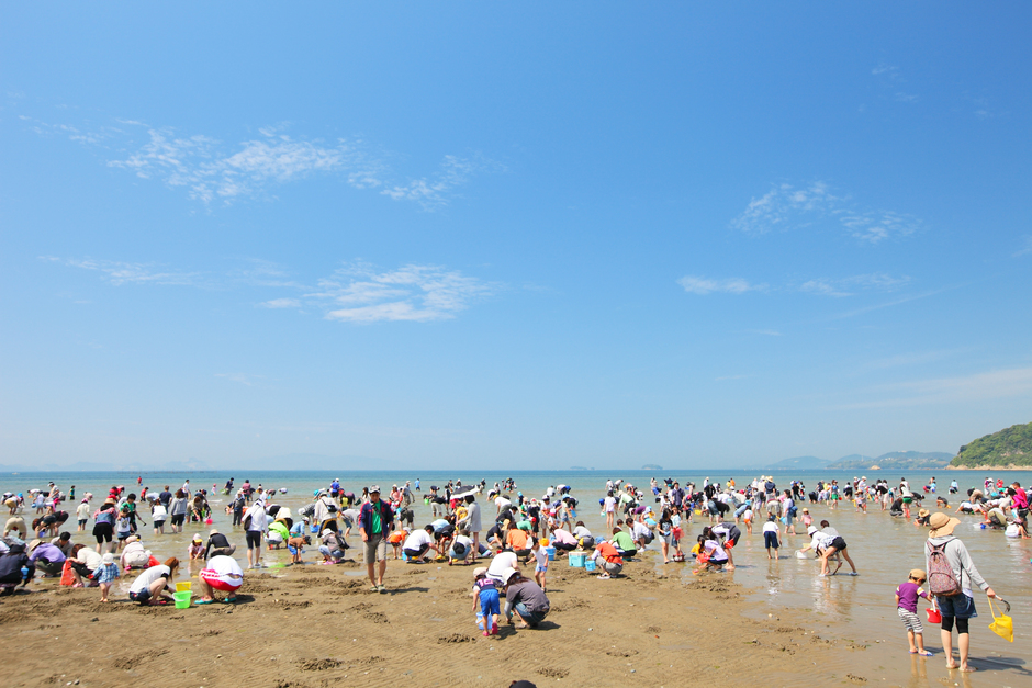 たつの市 御津町新舞子 潮干狩り クルールはりま