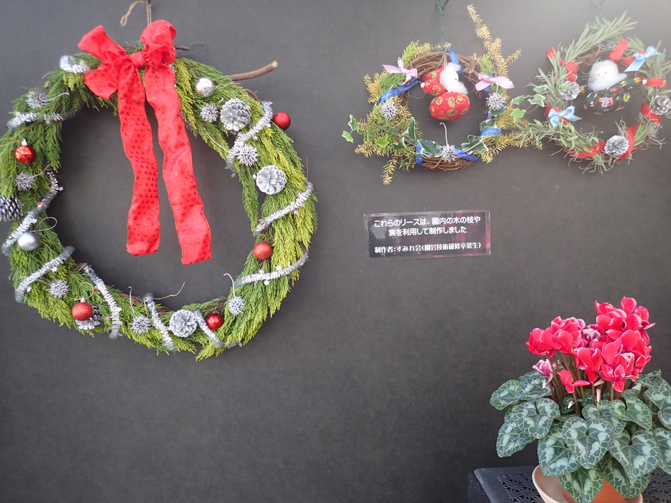 姫路市 第10回植物作品展 クリスマスリース展 姫路市立手柄山温室植物園 クルールはりま