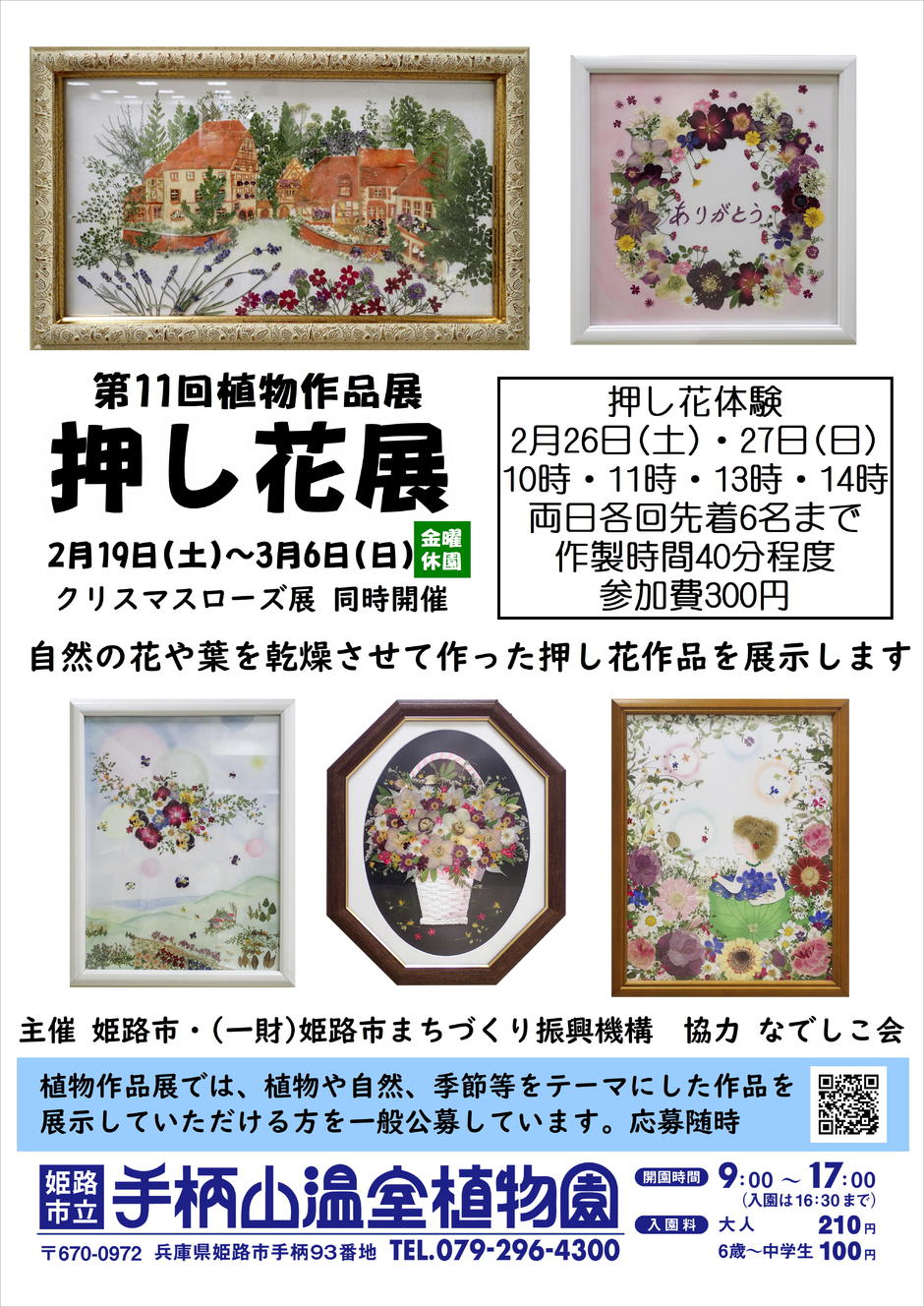 姫路市・第11回植物作品展「押し花展」【手柄山温室植物園】｜クルールはりま