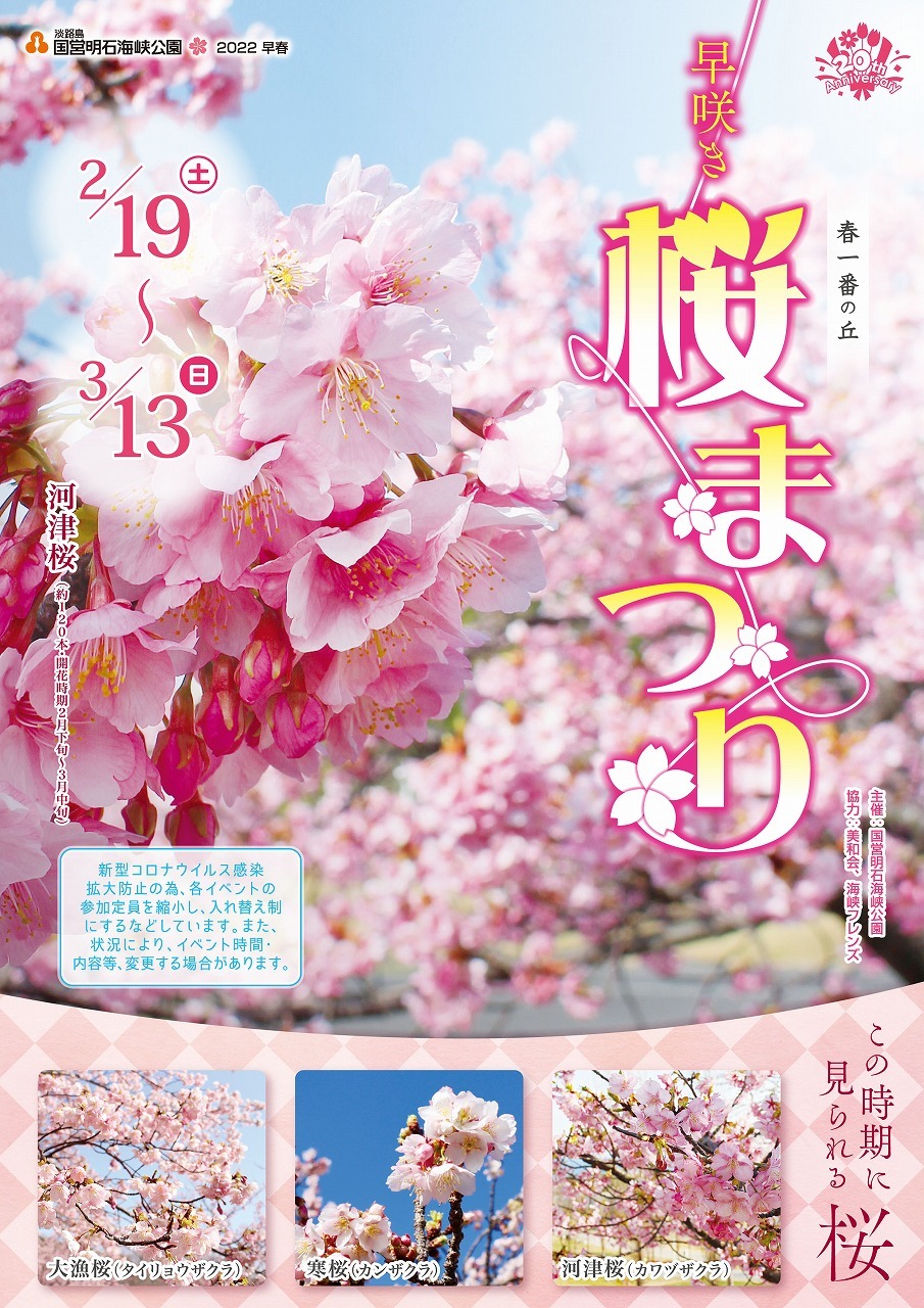 淡路市 早咲き 桜まつり 淡路島 国営明石海峡公園 クルールはりま