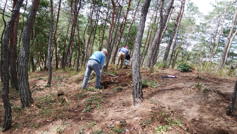 【要申込／先着順】栗園の整備【国見の森公園】