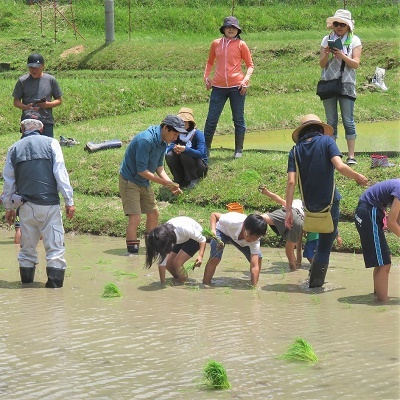 【申込要／先着順】田植え（もち米）とじゃがいも掘り体験【ゆめさきの森公園】