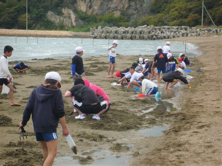 兵庫県 はりまの潮干狩りスポット まとめ３選 イベント情報や干潮表も