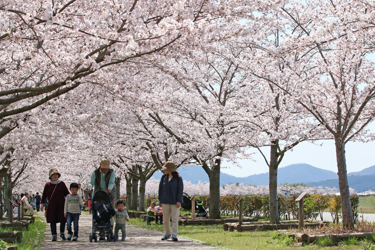 小野市